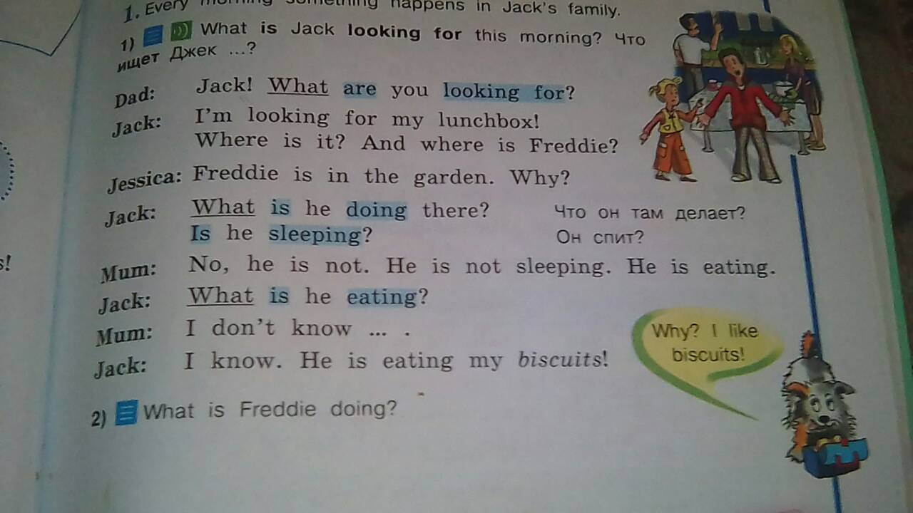 Where are fred