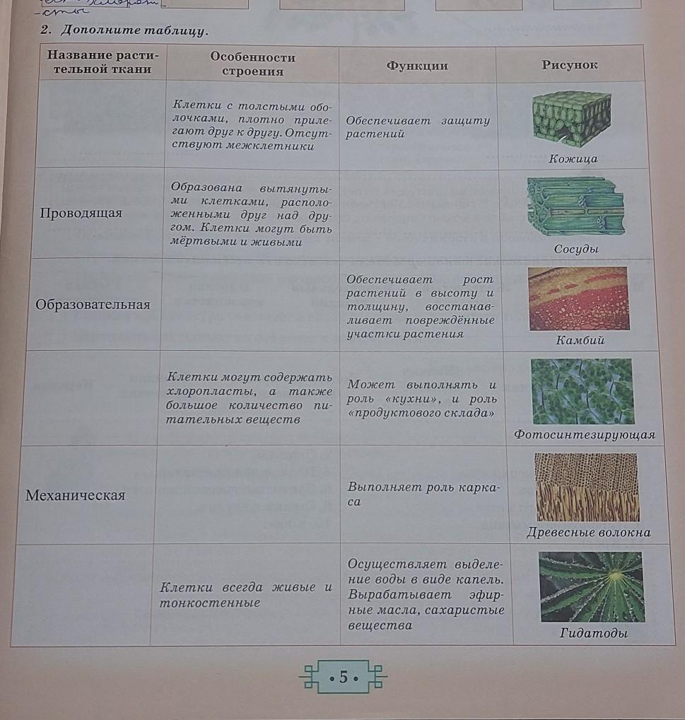 Дополните таблицы