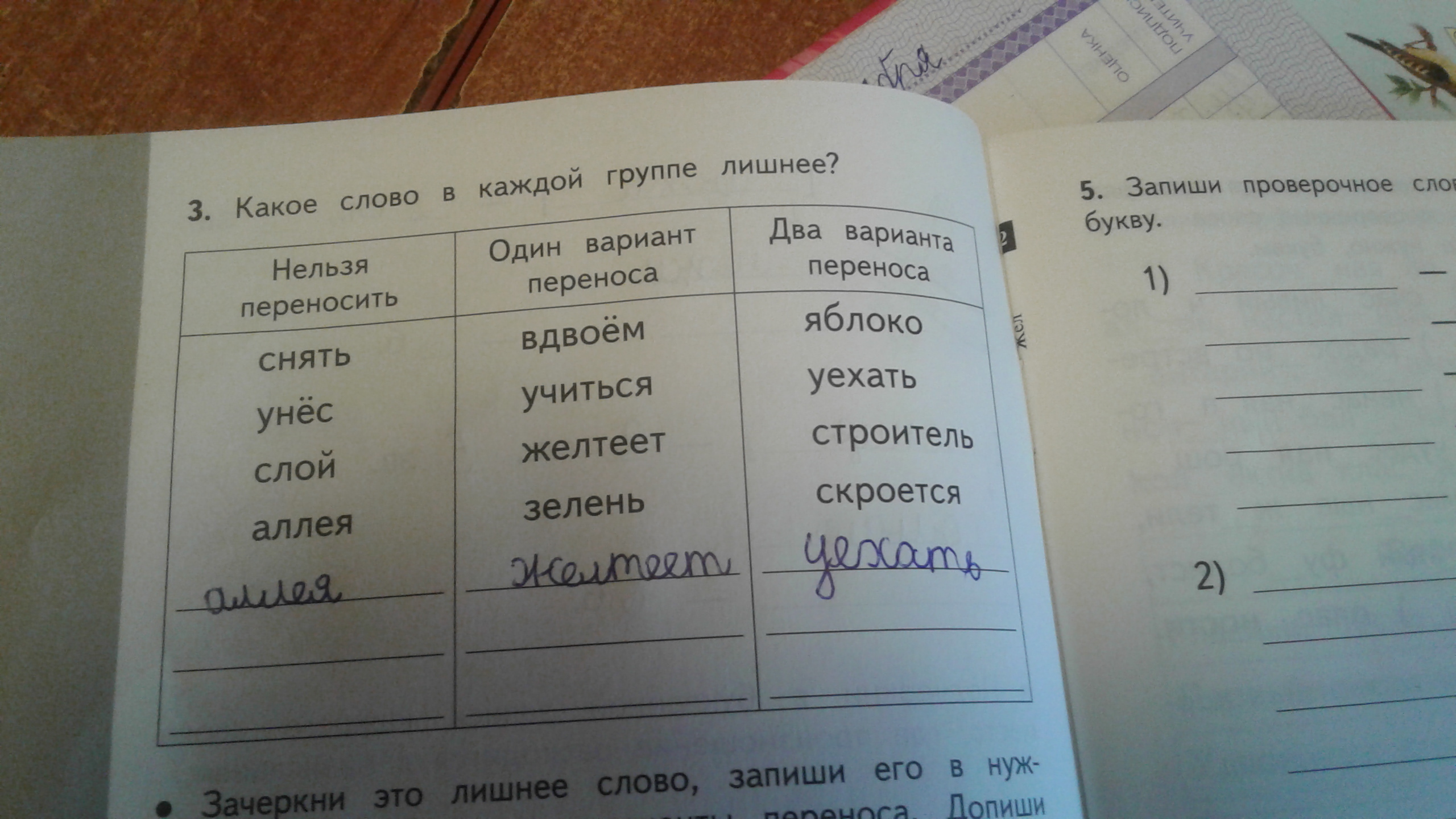 По каким группам распределены сообщества дополни схему напиши названия групп