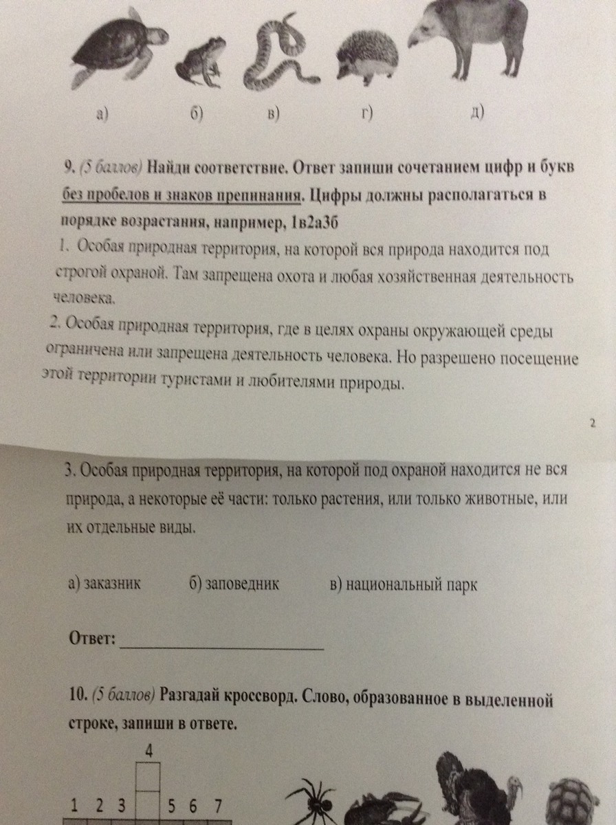 Найди соответствия и запиши ответ. Найти соответствия и записать вопросы..