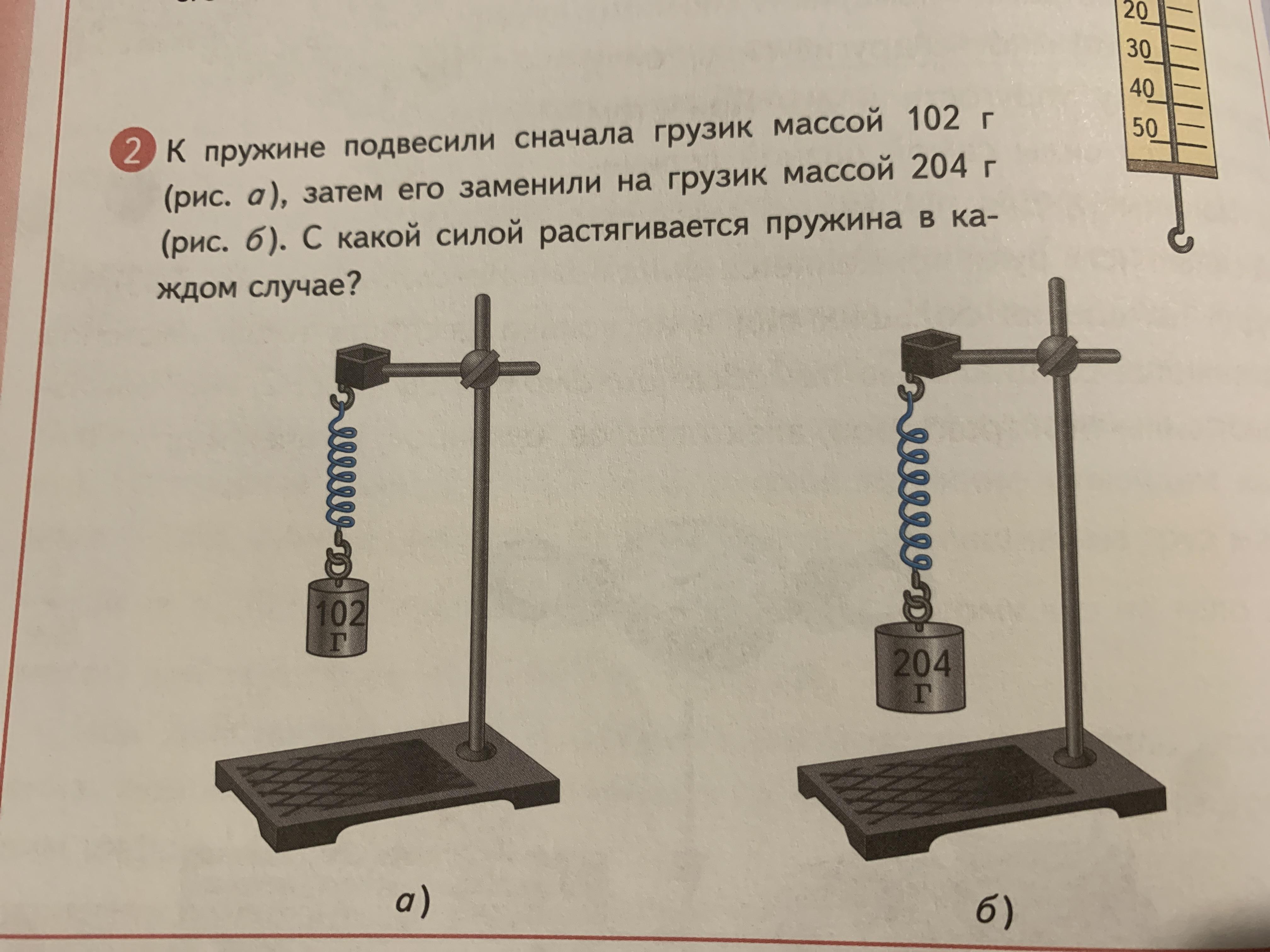 Подвешенный груз растягивает пружину. Грузик на пружине. Подвесьте к пружине массой 102 г. К пружине подвесили сначала грузик массой 102. К пружине подвесили сначала грузик массой 204 г.