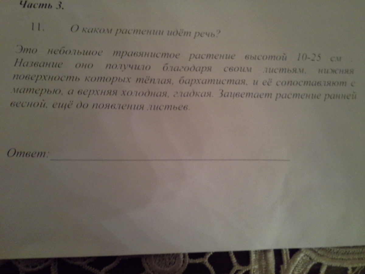 О каком тексте идет речь. Прочитай его и укажи о коком растении идёт речь. Прочитай его и укажи в каком растении идет речь.