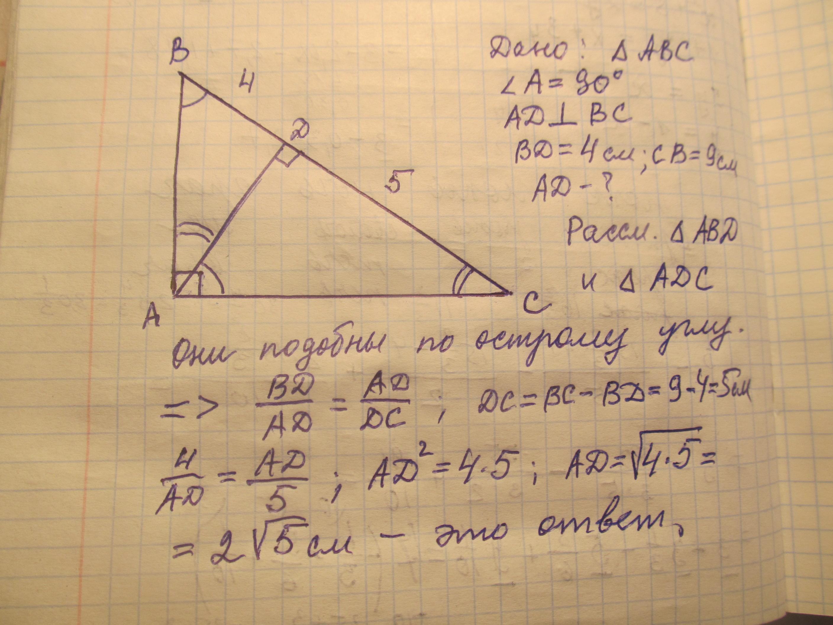 Прямоугольный треугольник ABC