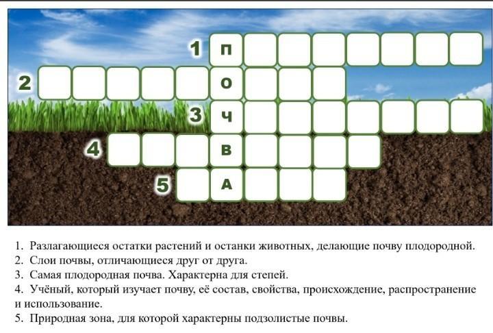 Помощь разгадать кроссворд. Разгадайте кроссворд между Европой и Азией. Отгадайте кроссворд битва за Москву. Волонтерский кроссворд разгадать помочь. Разгадать кроссворд береги животных ответы.