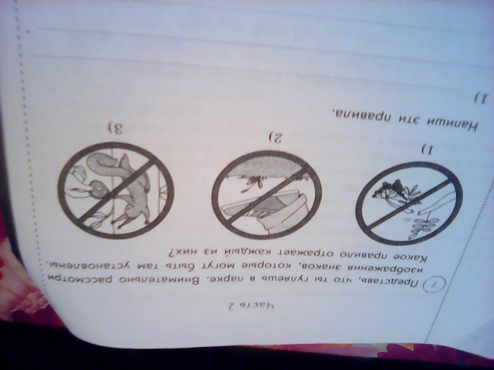 Знаки которые можно встретить в парке