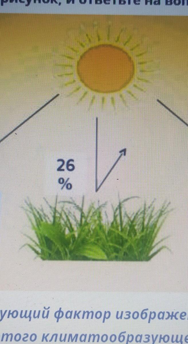 Изображать фактор. Укажите климатообразующий фактор изображён на рисунке?.