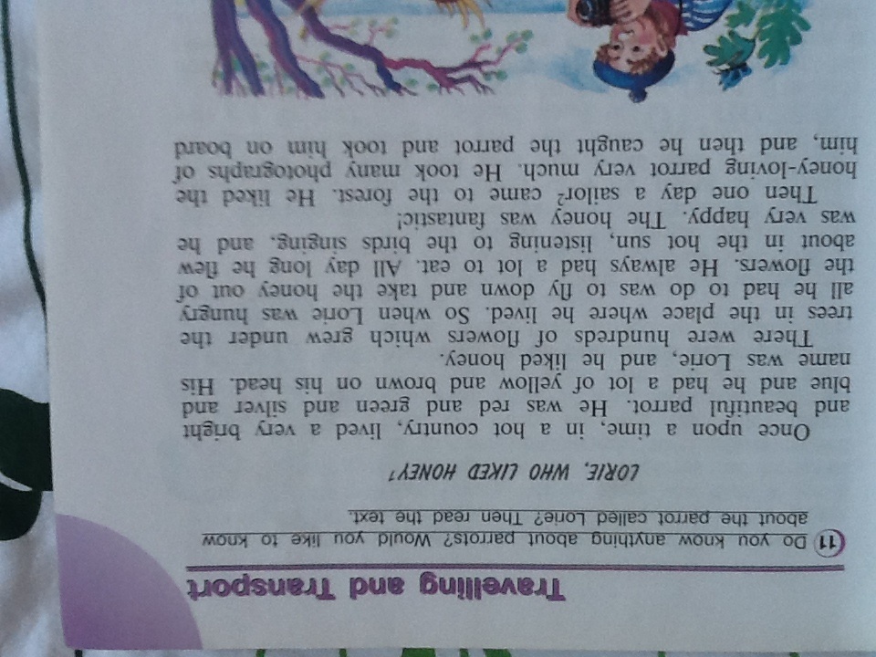 Who likes what. To be вопросы. Wh questions в английском. вопроссф на английском. Who is like перевод.