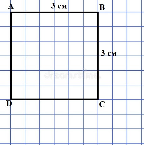 Нарисуй прямоугольник со сторонами 4 и 3 см