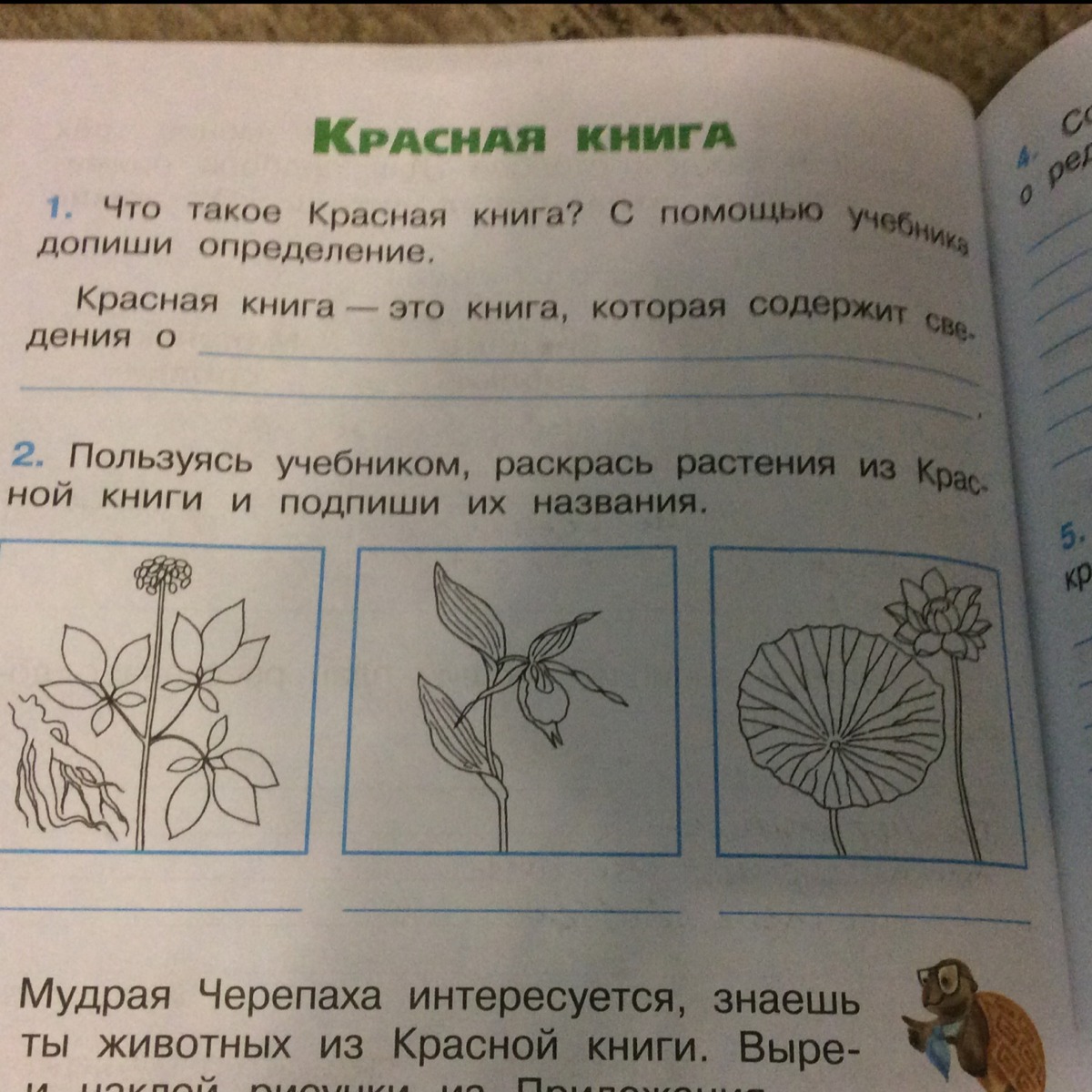 Составьте и запишите общий план рассказа о редком растении и животном ...