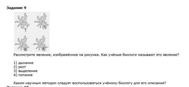 Рассмотрите явление изображенное на рисунке как ученые биологи называют это явление дыхание рост