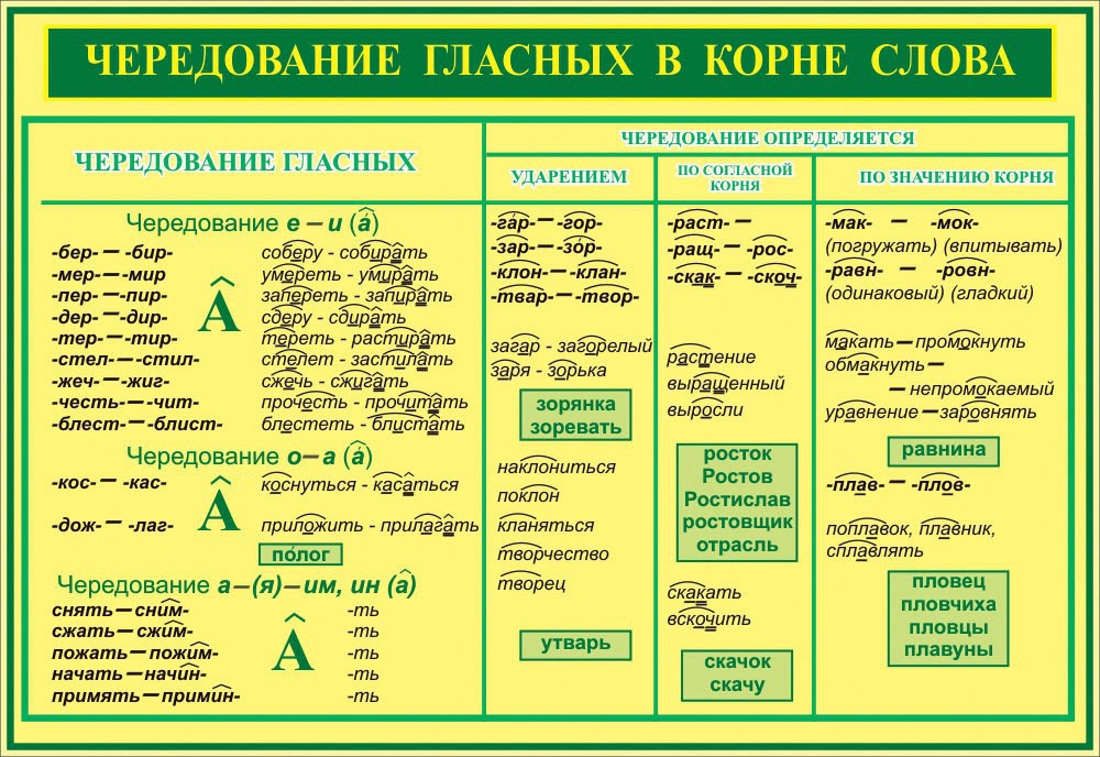 Презентация корни с чередованием 6 класс повторение