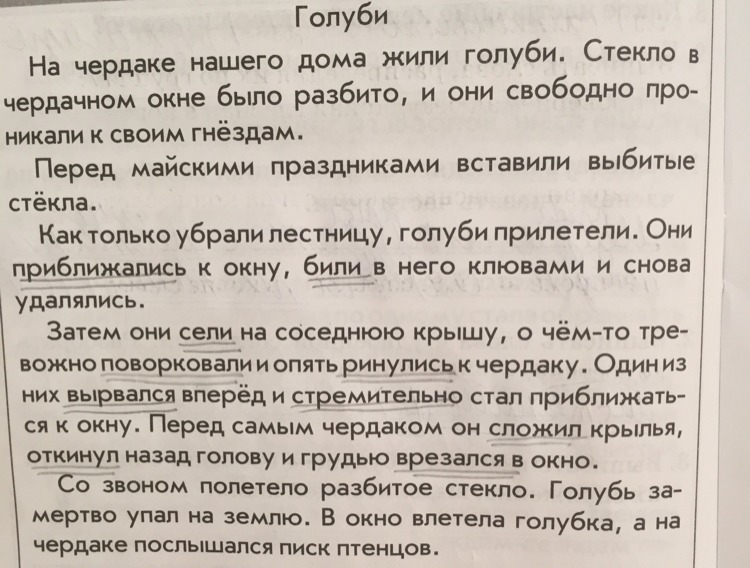 Голуби текст. На чердаке нашего дома жили голуби. Текст голуби на чердаке нашего дома жили голуби. Текст 26 на чердаке нашего дома жили голуби. Текст 26 на чердаке нашего дома жили.