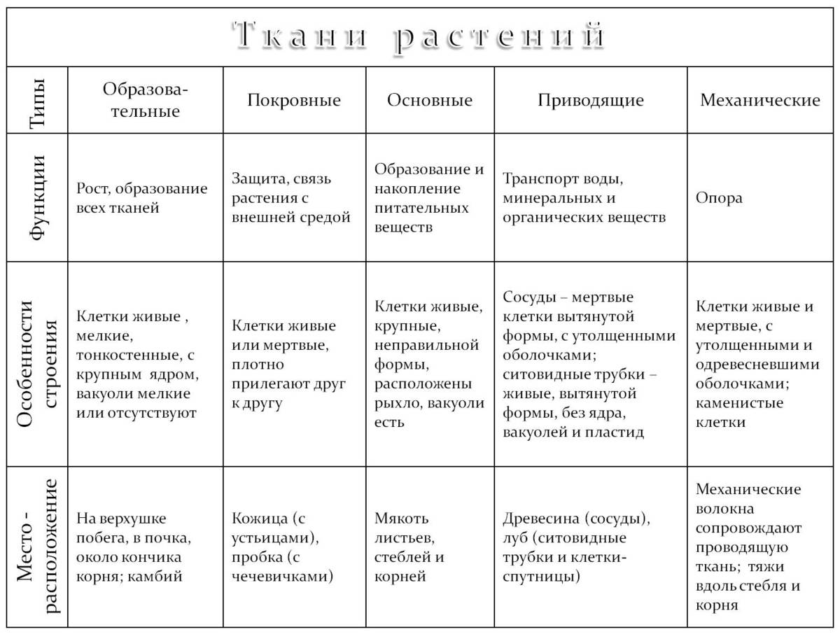 Решено)Страница 17 ГДЗ Рабочая тетрадь Колесов Маш 8 класс по биологии с пояснен