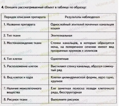 Заполните таблицу в рабочей тетради по приведенному образцу наименование узла свойства узла