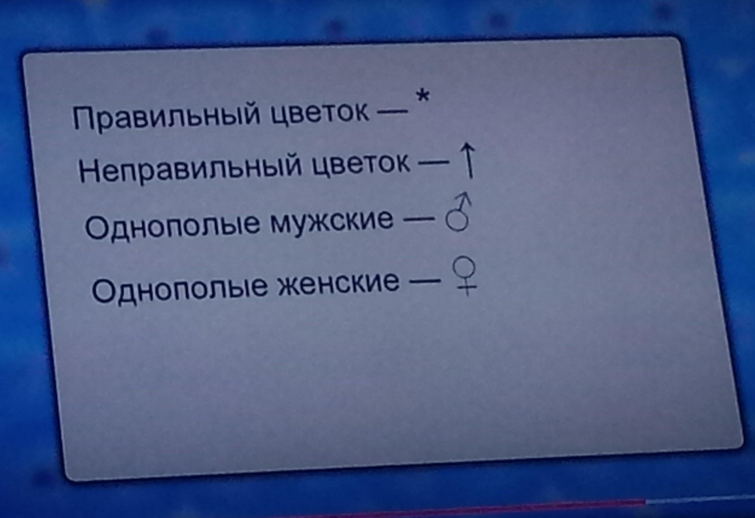 Которых из него отсутствует. Которых из него отсутствует