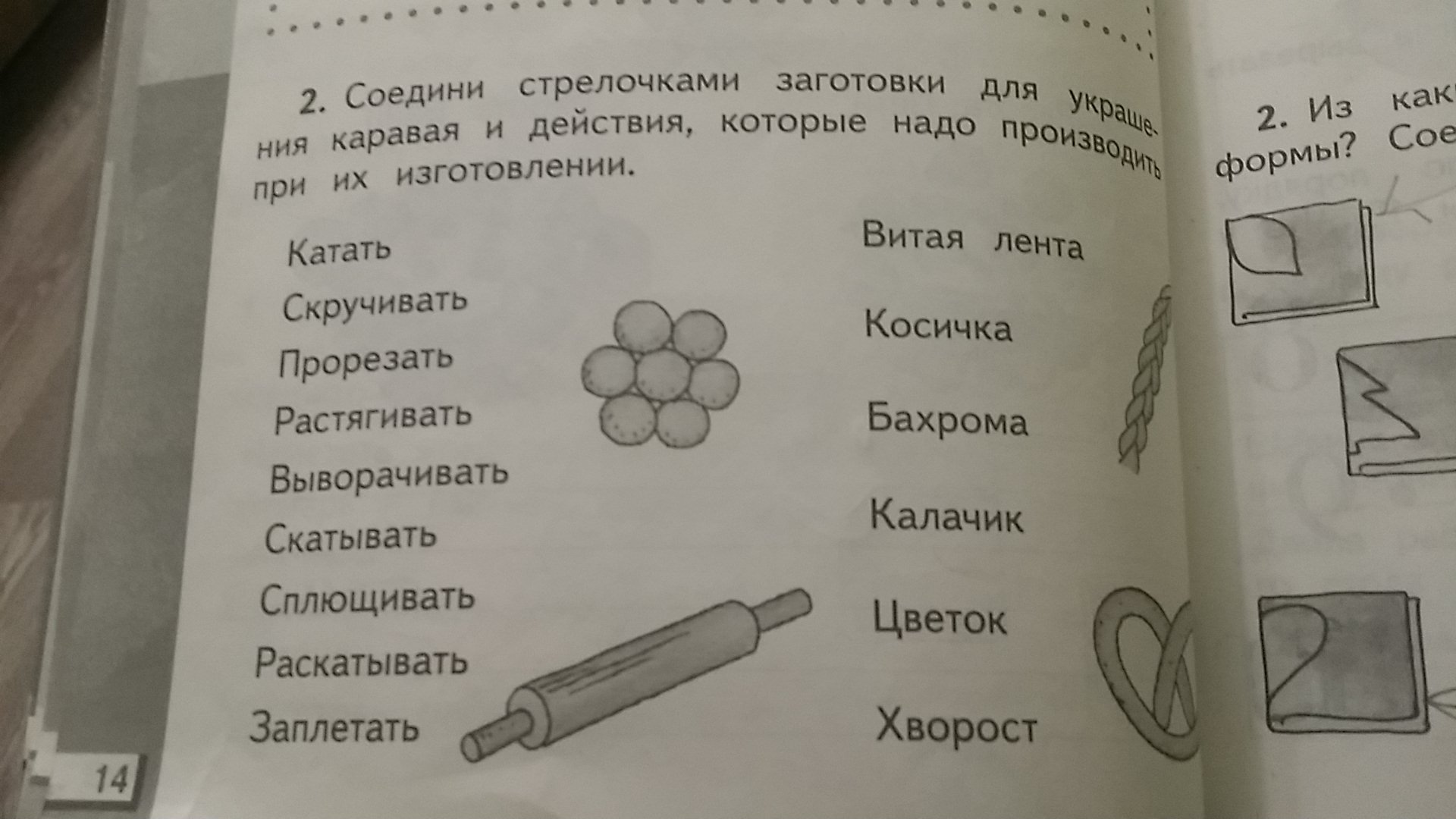 Найди на рисунках объекты природы и соедини их стрелками с соответствующим словом понятием ответ