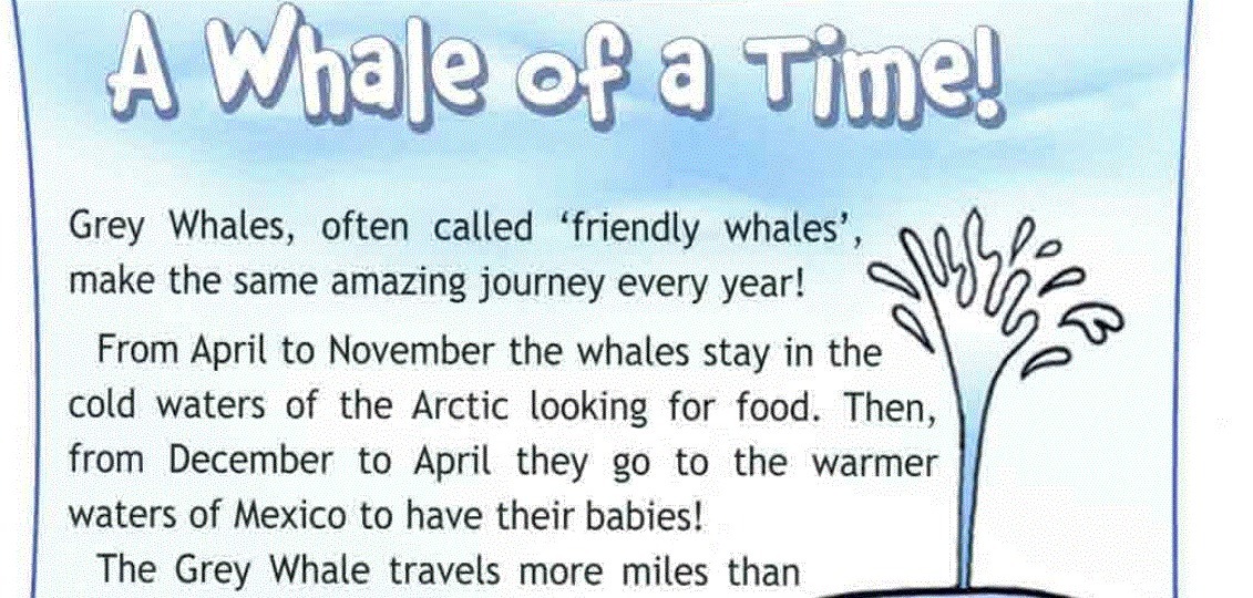 Amazing journey every year перевод на русский. Grey Whales often Called friendly Whales make the same amazing Journey every year. Grey Whales often Called friendly Whales. Grey Whales often Called friendly Whales make the same amazing Journey every year перевод. The same amazing Journey.