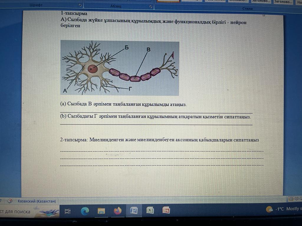 Какой процесс показан на рисунке какова функция структуры обозначенной цифрой 3