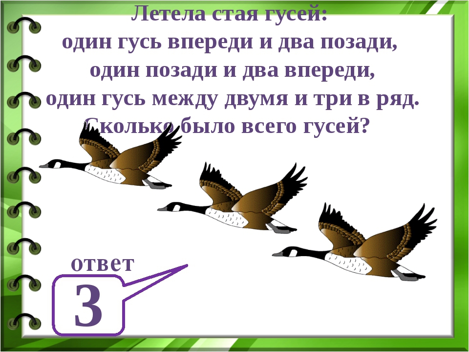 Найдите предложение соответствующее схеме гуси высоко летят