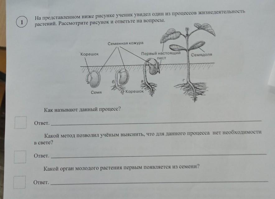 Как называется процесс жизнедеятельности растений 6 класс