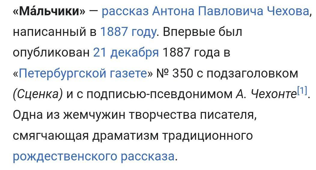 Вопросы по рассказу мальчики