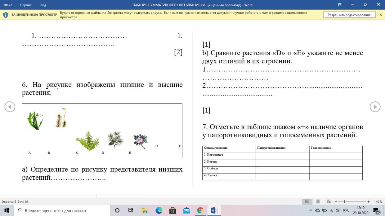 Сравни растения. На рисунке изображён представитель. Определите на каком рисунке изображено высшее растение.