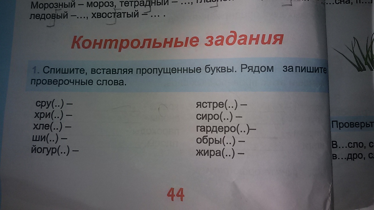 Вставь пропущенные буквы рядом запиши проверочные слова