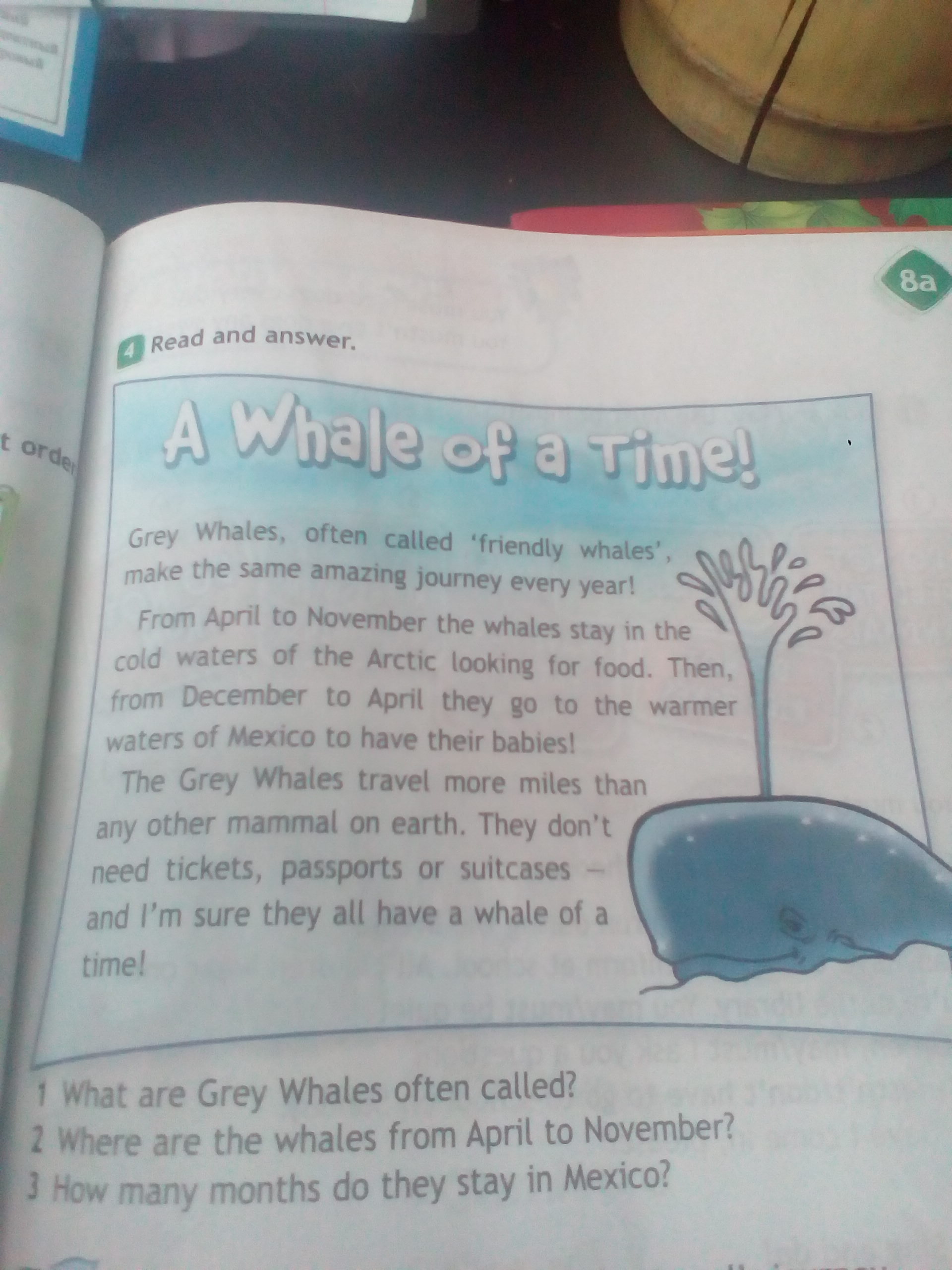 Call перевод на русский. Grey Whales often Called английский 4 класс. What are Grey Whales often Called перевод на русский. Grey Whales often Called friendly Whales make the same amazing Journey every year перевод на русский.