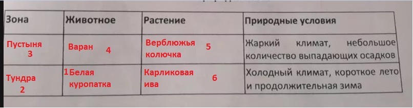 Заполните пустые ячейки на схеме выбрав необходимые слова из приведенного списка суслик тайга