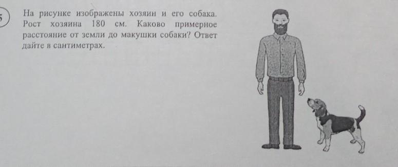 Расстояние от земли до макушки собаки. Расстояние от земли до макушки собаки