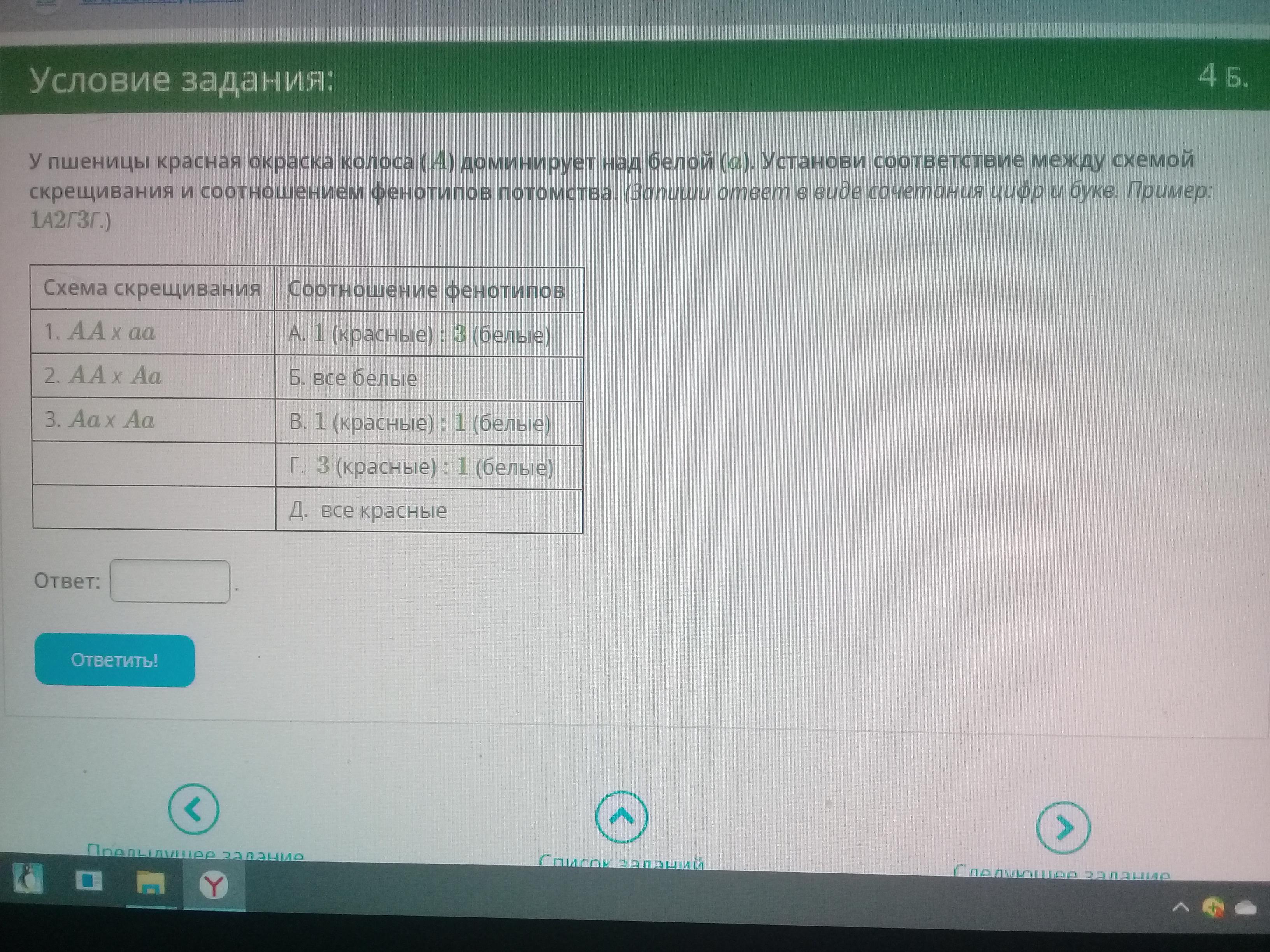 У пшеницы плотный колос a доминирует над рыхлым a установи соответствие между схемой скрещивания