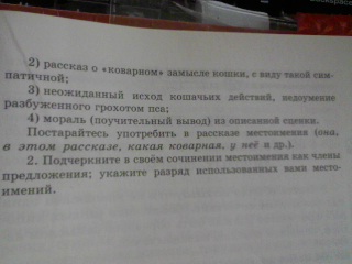 Рассмотрите на вклейке с 16 рисунки художника н радлова о кошке