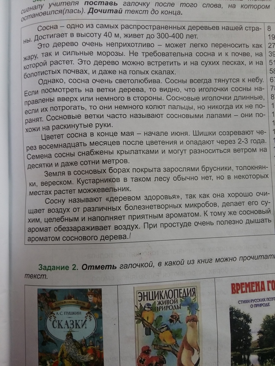 Прочитай текст второй абзац этого текста. Прочитай текст второй абзац этого текста