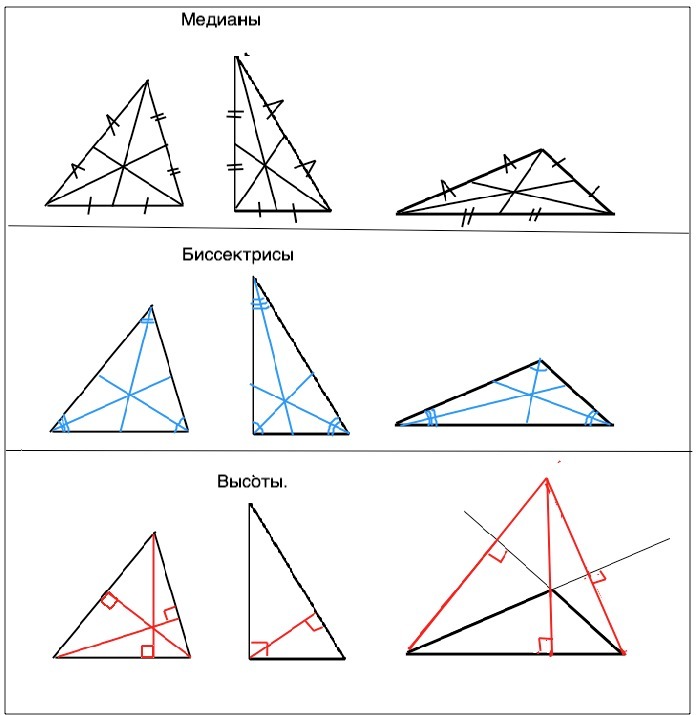 Биссектриса как нарисовать