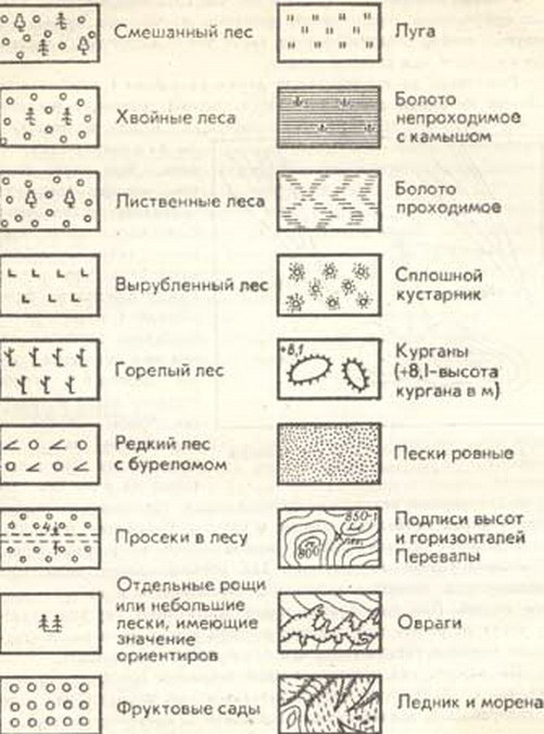 Каким условным знаком на карте или плане изображается лес