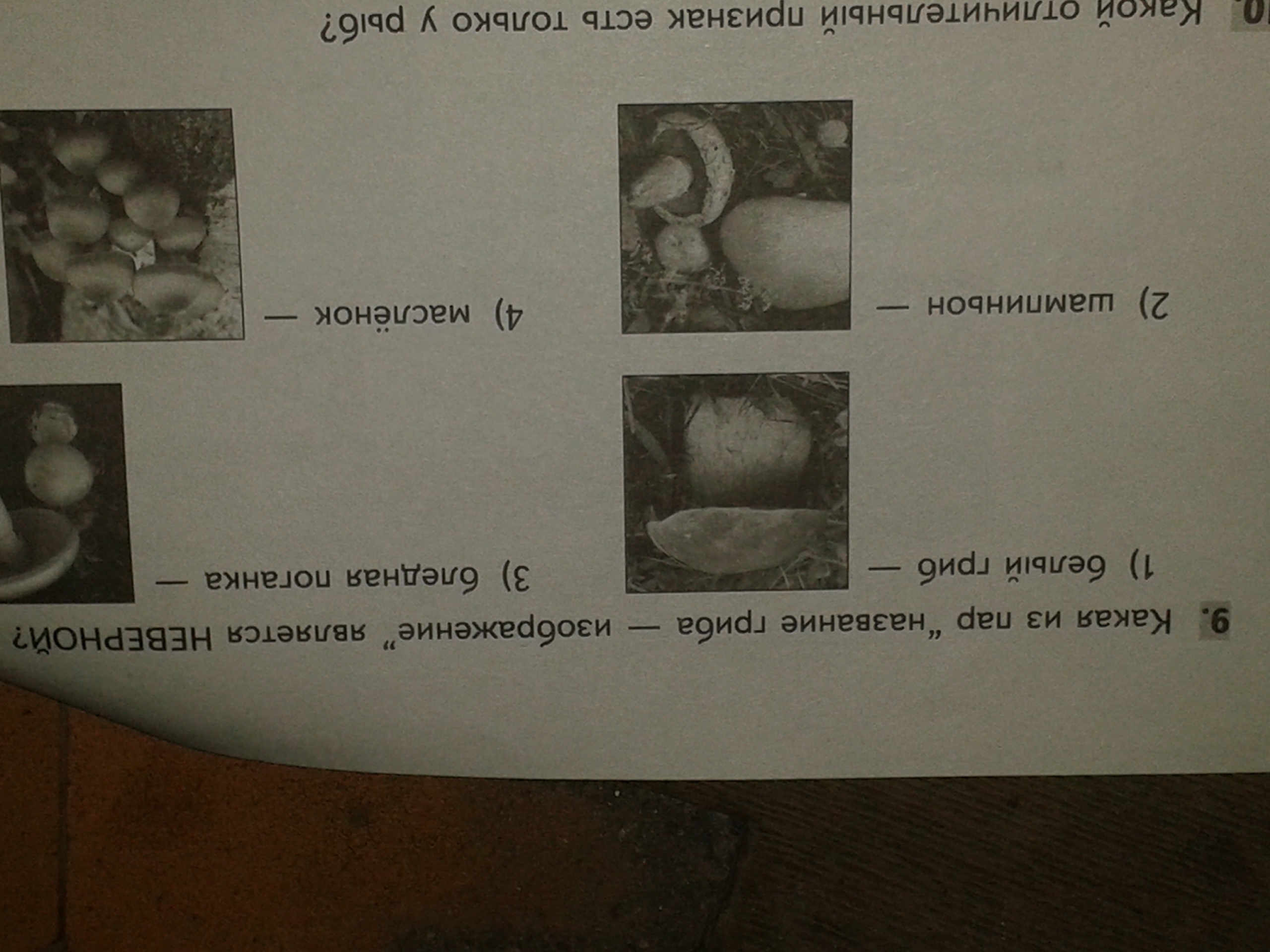 Какой ответ является неверным