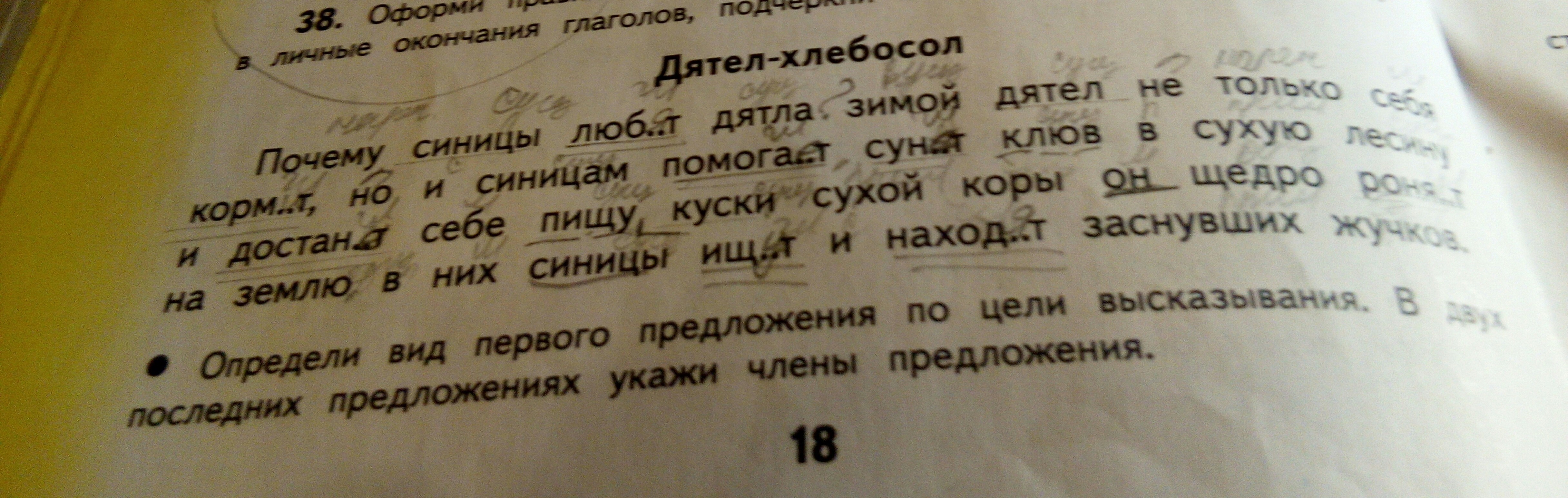 Дятел разбор. Текст дятел Хлебосол. Упражнение дятел Хлебосол. Прочитай Спиши подчеркни глаголы. Дятел Хлебосол почему.