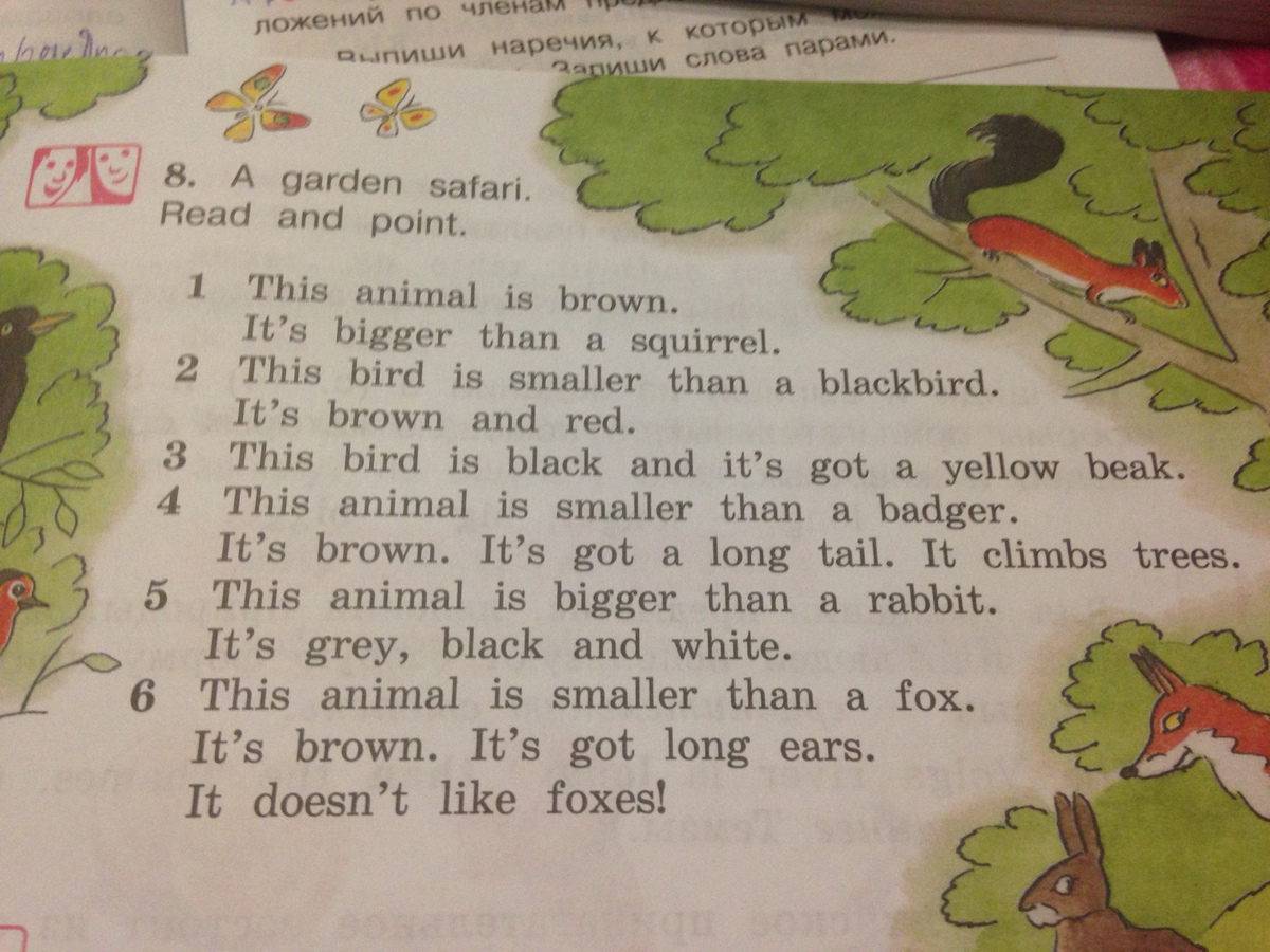 Read and point. A Garden Safari read and point ответы. A Garden Safari read and point перевод на русский. A Garden Safari. Read and point гдз 4 класс.