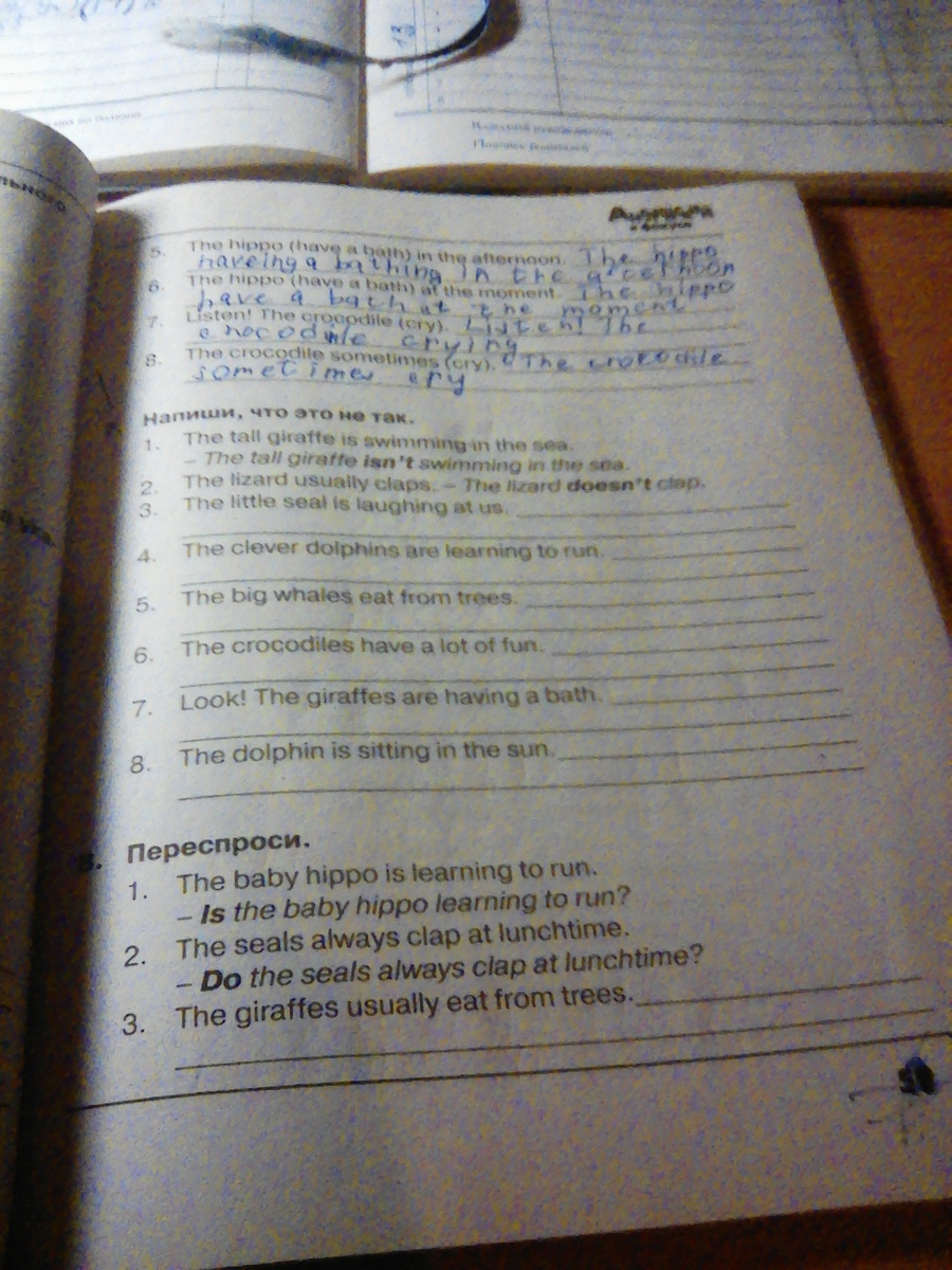 What are the seals doing перевод. Don't isn't does doesn't в предложения. Переспроси the baby hippo is. Do the seals usually clap at lunchtime. Составление вопросов используя подсказки текст английский.