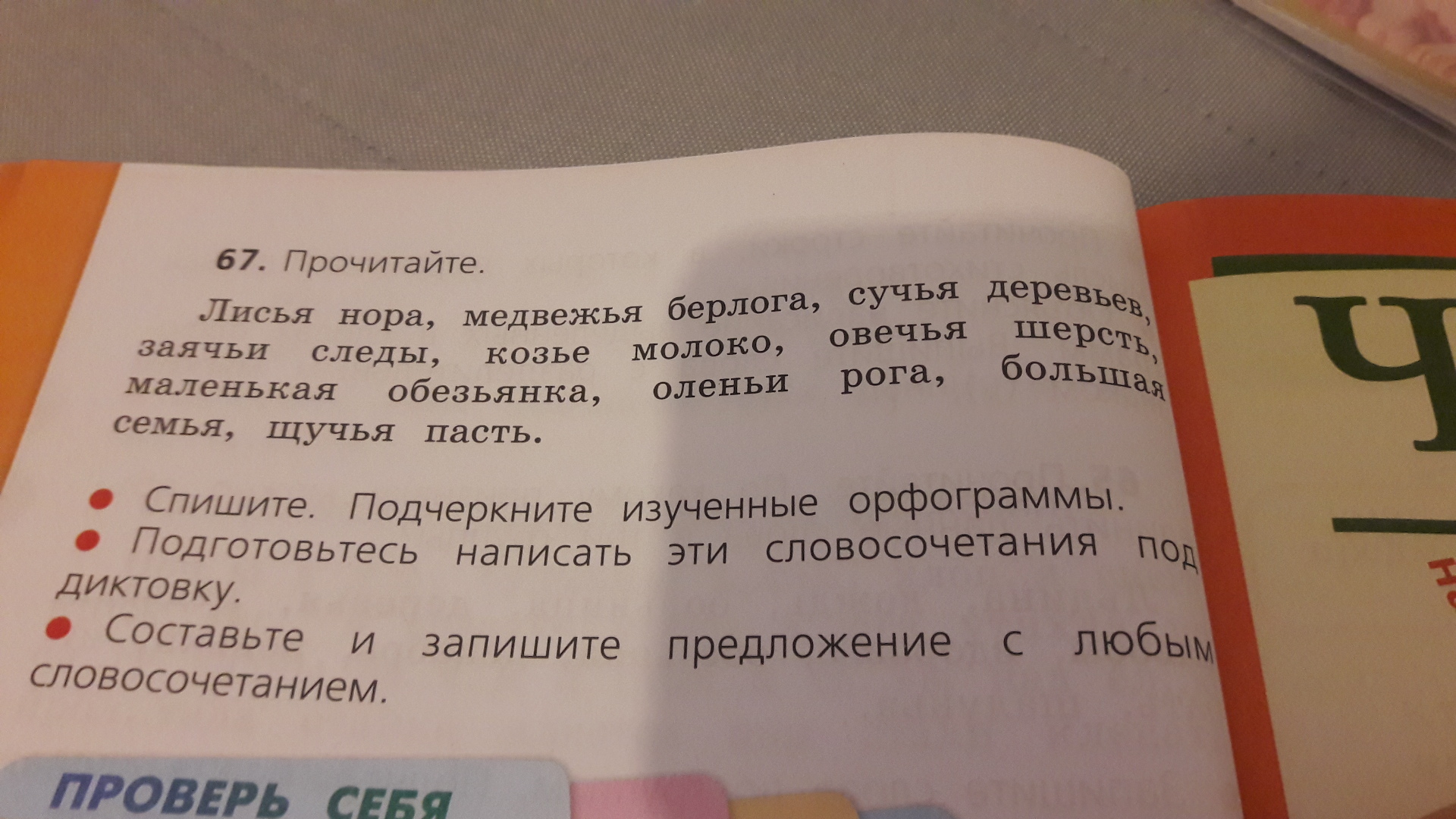 Составить предложения со словосочетаниями
