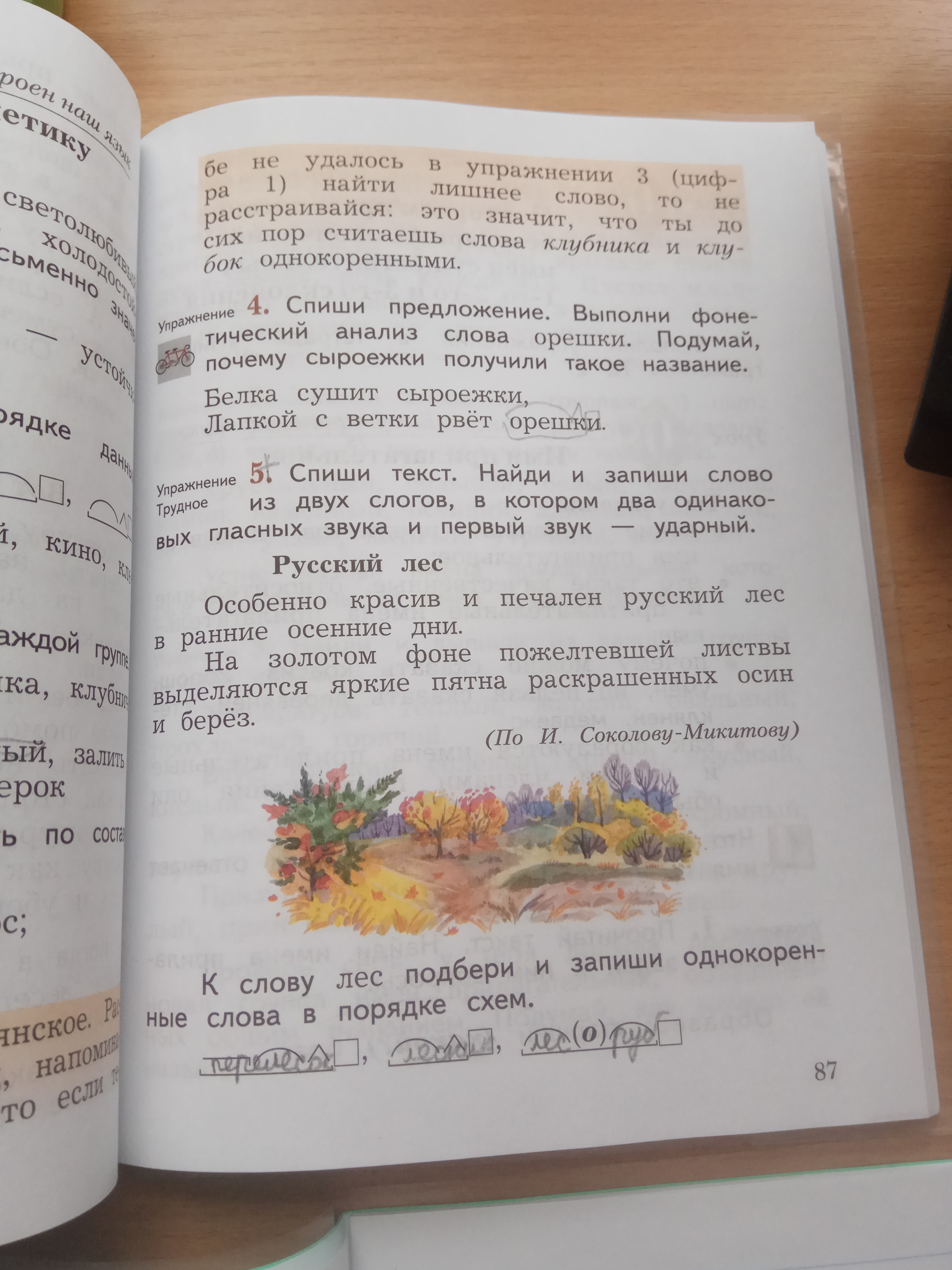 Особенно красив и печален русский лес. Слово из 2 слогов в котором 2 одинаковых гласных звука и 1 звук ударный. Найди и запиши слово из двух слогов в котором два одинаковых гласных. Найди в тексте и запиши. Спиши текст Найди и запиши слова из 2 слогов в котором.