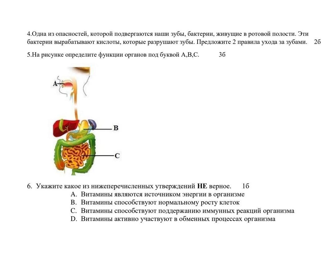 Стенка пж норма