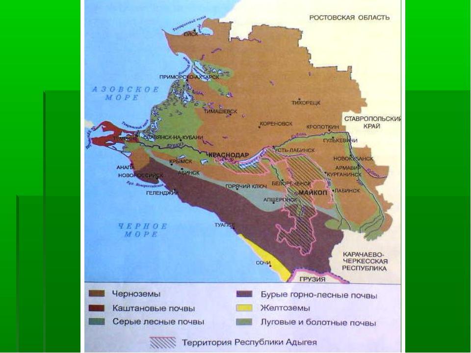 Кубановедение 4 класс презентация природные зоны краснодарского края