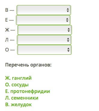 Обозначения органа. К каким системам органов относятся органы обозначенные буквами. Обозначь, к каким системам органов относятся органы. К какой системе органов относится орган, обозначенный каждой буквой.. Обозначь к какой системе органов относится орган обозначенный.