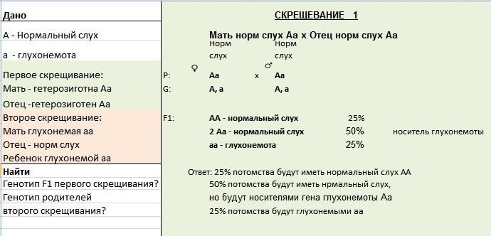 Изменение остроты слуха в зависимости от возраста и влияния факторов внешней среды проект