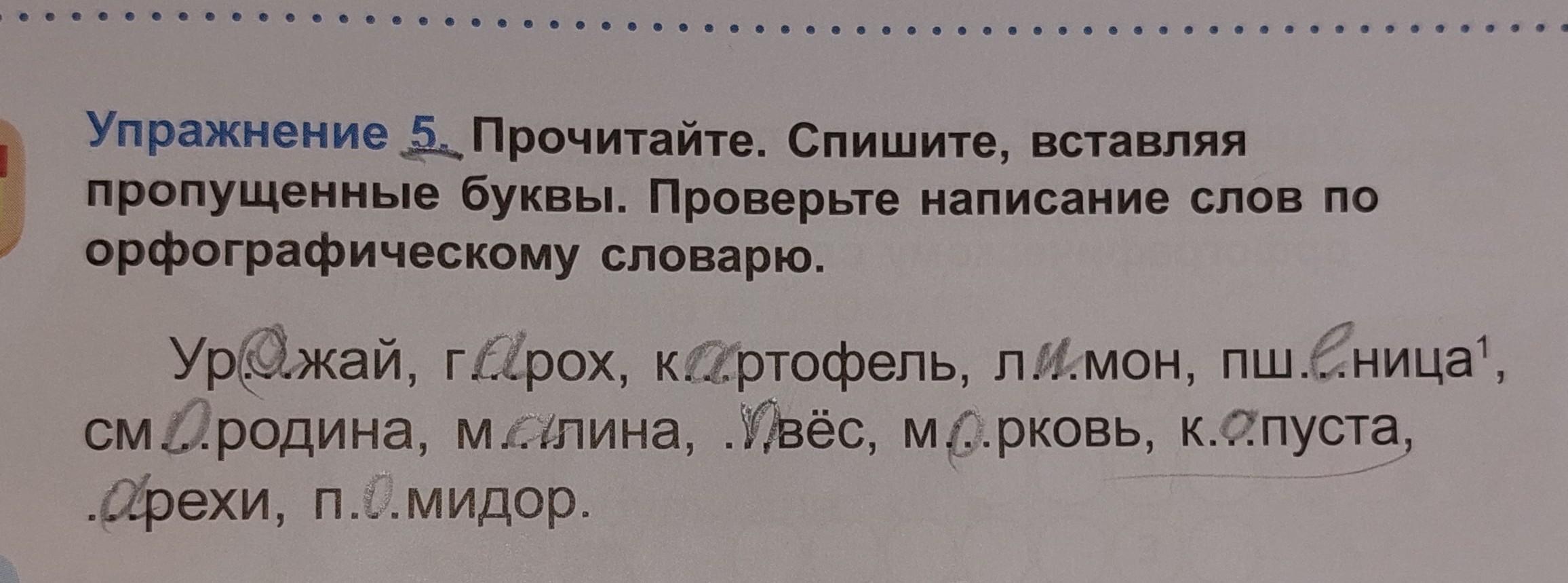 Плохой проверь напиши