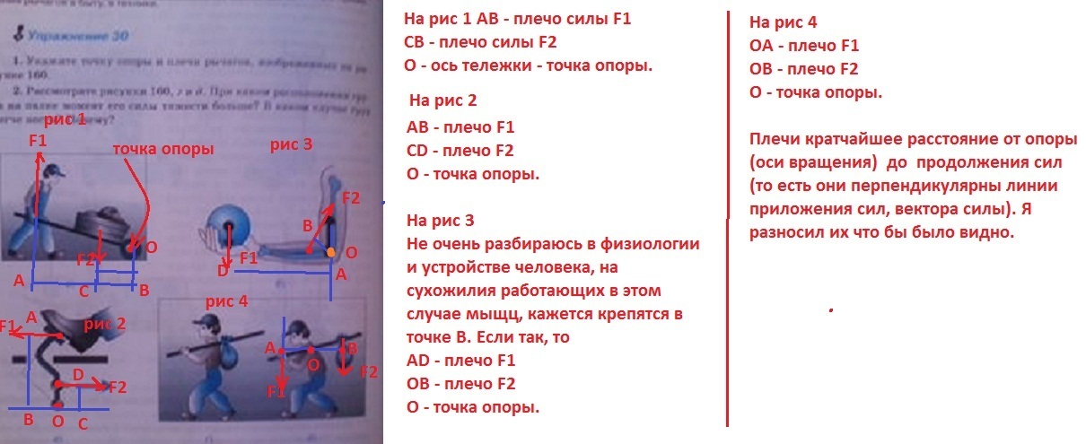 Укажите точку опоры и плечи рычагов изображенных на рисунке 173 физика 7 класс ответ