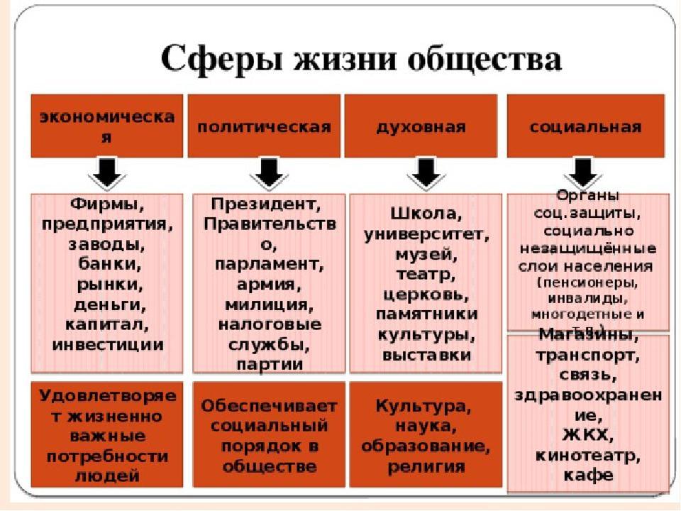 Понятие примеры обществознание