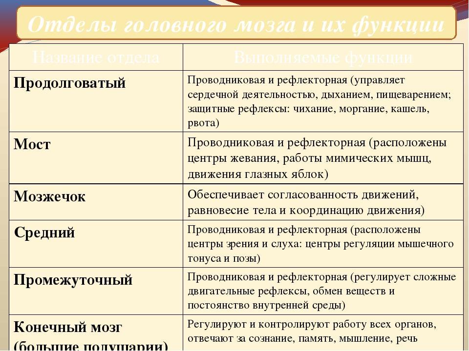 Установите соответствие между головного мозга. Функции отделов мозга таблица. Строение головного мозга отделы и функции отделов таблица. Таблица по биологии строение и функции головного мозга. Таблица отделы головного мозга и их функции и строение.