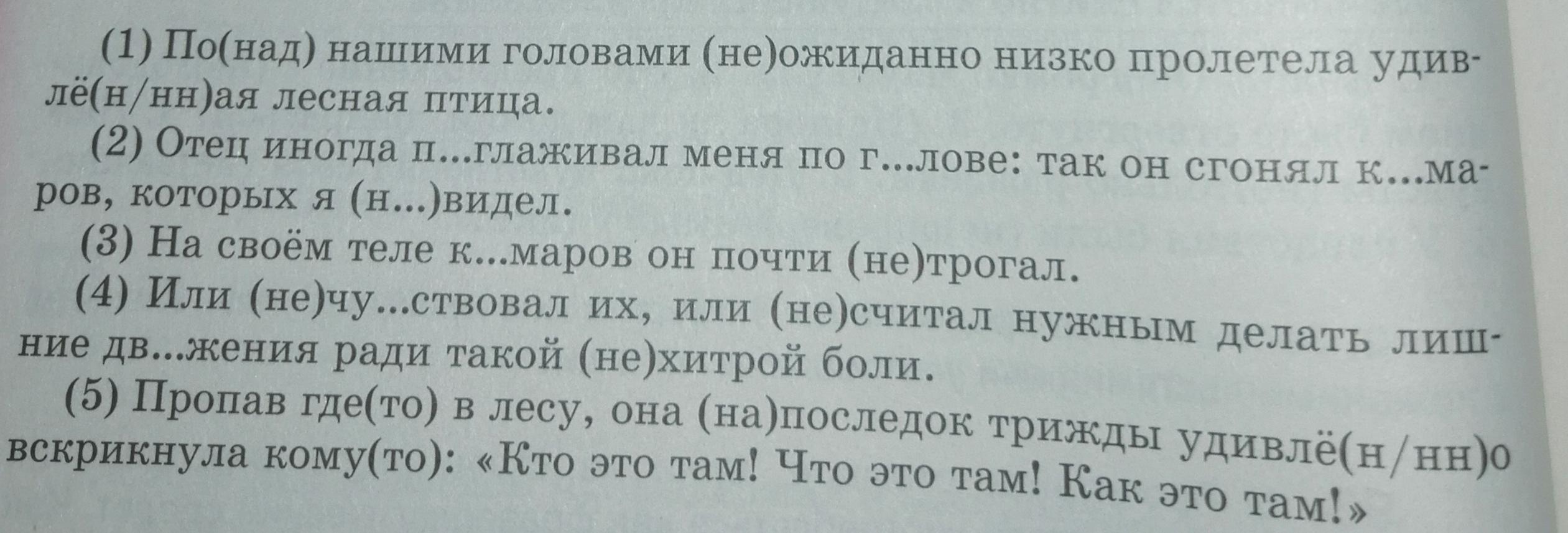 Высота комнаты три метра грамматическая основа